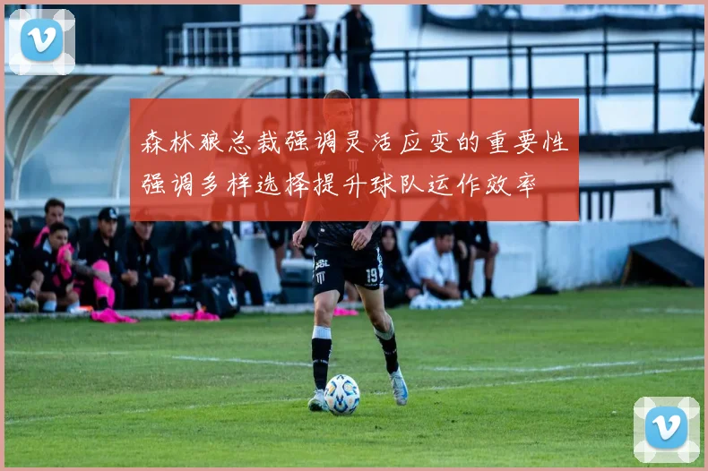 森林狼总裁强调灵活应变的重要性强调多样选择提升球队运作效率